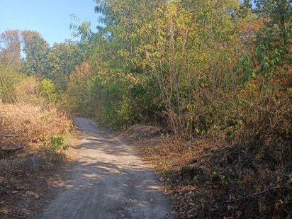 Продам земельну ділянку в Шкарівці, поруч ліс