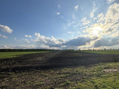 Продаж землі в селі Шкарівка