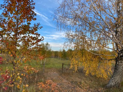 Срочно Продаж! Шпитьки! Фасад дороги Шпитьки-Горбовичи!1,71га