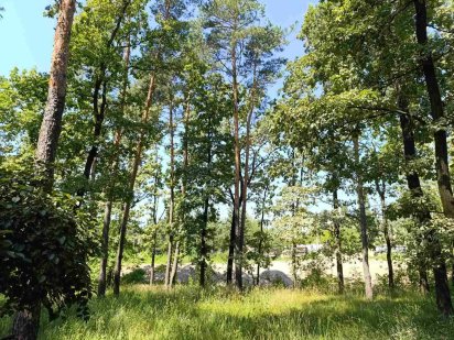 Земельна ділянка 15 сот Юрівка (Віта-Поштова) Юрівка