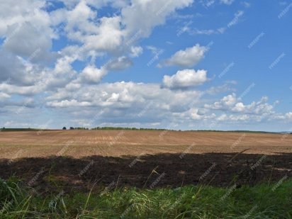 Продам пай,7.09га Долинская