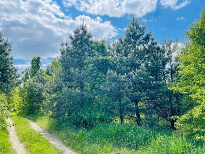 Мальовничий масив  33га біля Лісу  , Київ 20 км