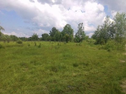 10.соток під забудову ! Ясногородка