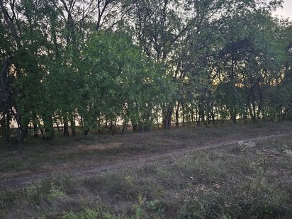 Продам земельну ділянку з фундаментом Черняхівка