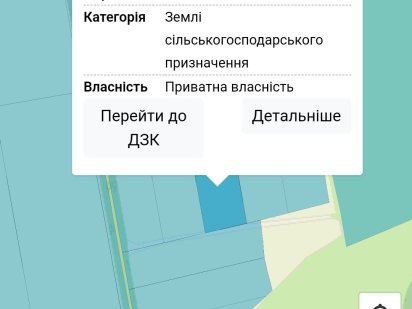 Продам земельну ділянку площею 1 га Новгородка
