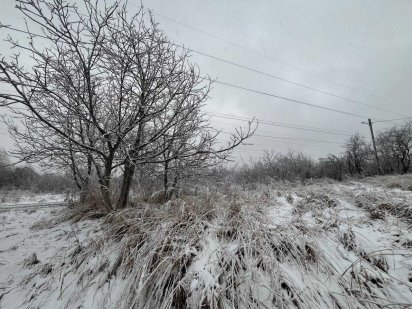 Продаж землі в селі Солонка ТЕРМІНОВО Солонка