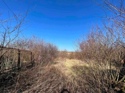 Продаж земельної ділянки в с.Солонка (без комісії).