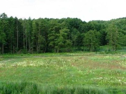 Продаж земельної ділянки по вулиці Лукасевича Брюховичі