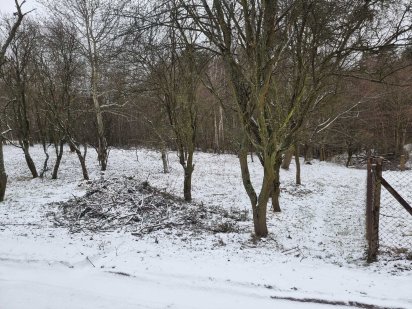 Ділянка під Брюховицьким лісом Брюховичі