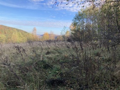 Продаж частини земельної ділянки