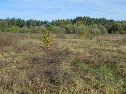 Продаж  6соток землі,Львів-вул.Лукасевича Брюховичи