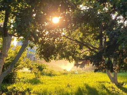 ПРОДАЖ земельної ділянки Брюховичі Брюховичи