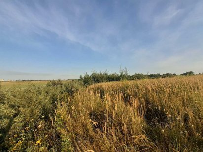 Земельна ділянка Сокільники