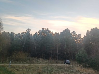 Земельна ділянка смт.Рудне  31 сот.під забудову Рудне