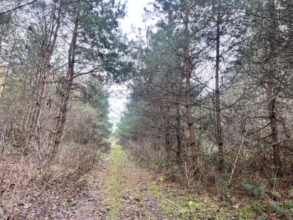 Продаж ділянки в лісі Рудне Рудное