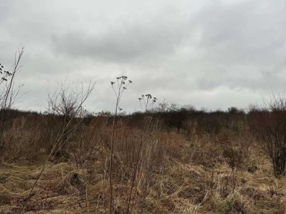 Продаж земельної ділянки в с.Сокільники Сокільники