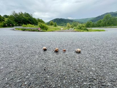 Земельна ділянка .+Свердловина мін води.Закарпаття .кордон. Пустомити