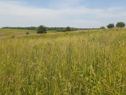 Земельна ділянка Сокільники
