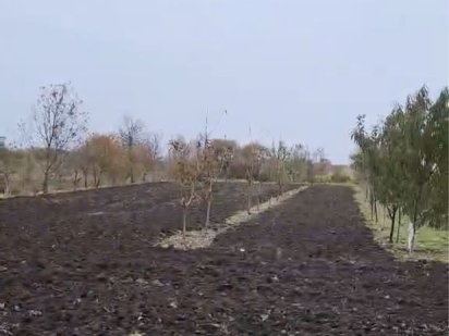 Продаж земельної ділянки 23 сотих під будівництво с.Сокільники