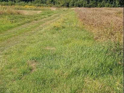 Продаж  земельноі ділянки під будівництво у Підгайцях