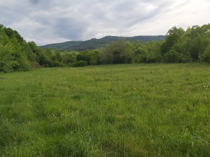 Продам земельну ділянку поблизу Східниця 40 сотих Сходница