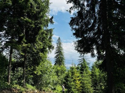 Земельна ділянка Славсько 11 соток з док для Будівництва Славське