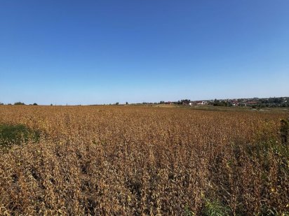 Продаж землі 25 і 12.5- 12.5 сотиків Львів Зубра