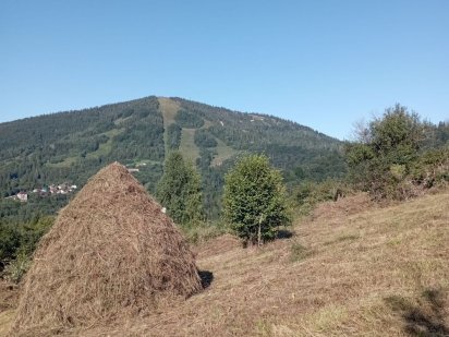 Земля Славське 20 сот. під будівництво Славское