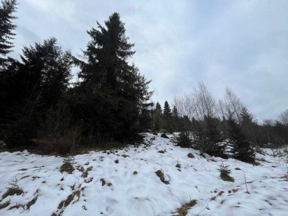 Продаж земельної ділянки в с. Волосянка Славское