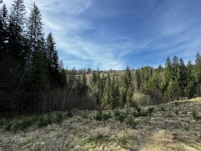 Земельна ділянка Славсько Славське