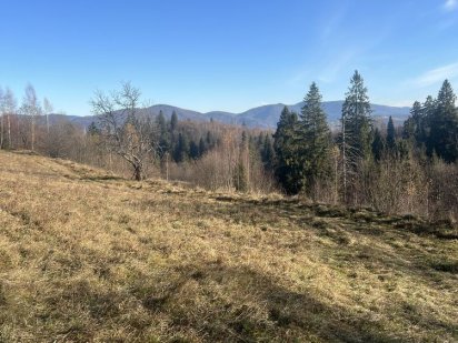 Продам земельну ділянку Славське