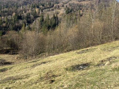 Продам земельну ділянку Славське