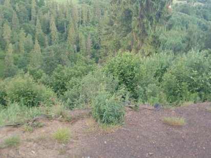 Продаж земельної ділянки подробиці за номером телефону Славское