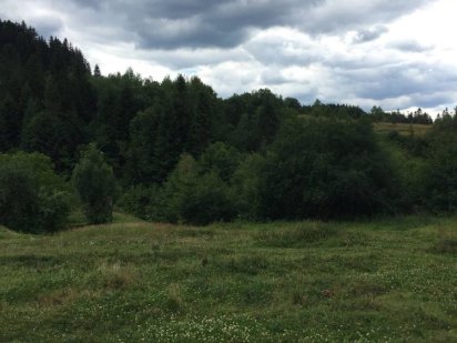 Земельный участок пгт Сходница Сходница