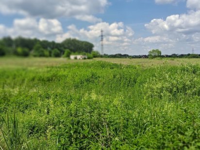 Продаж земельної ділянки за найнижчою ціною, БЕЗ КОМІСІЇ Рясное-Русское