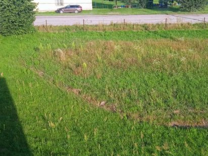 Продаж ділянки під забудову, Рясне -Руське Рясное-Русское