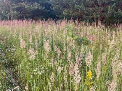 Продаж ділянки 10 сот під забуд в Малехові 5 хв до Львова Малехів