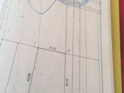 Продаж зем. Ділянки в с. Конопниця