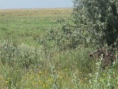 Продам земельну ділянку Жолква