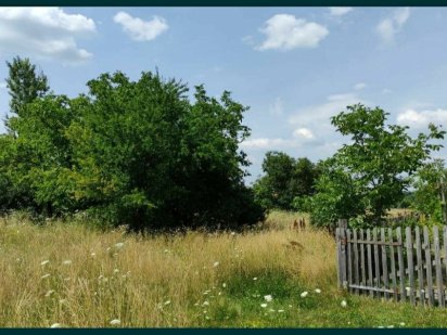 Земельна ділянка В'язова (Жовква) Жолква