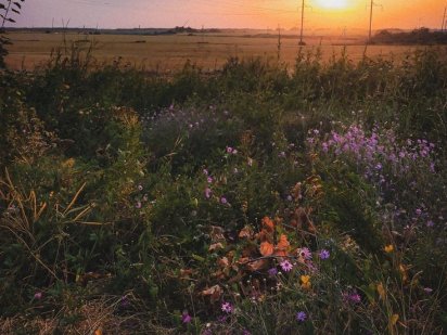 ТЕРМІНОВО Земельна ділянка в Стебнику Стебник