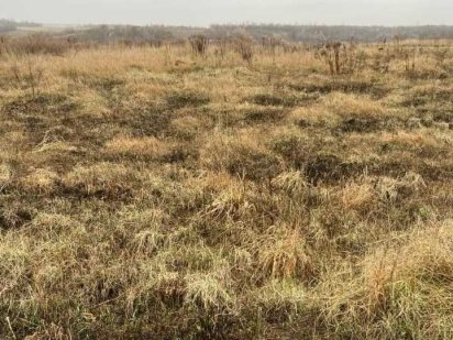 Продаж земельної ділянки біля Львова за найнижчою ціною Давидів