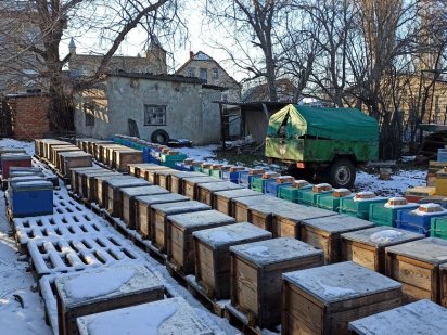 Продаю ділянку під пасіку/продаю участок под пасеку Каравелове