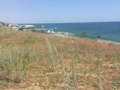 БЕЗ КОМИССИИ ~ Золотые ключи ~ 1 линия моря ~ участок 25 соток ~ Лиманка