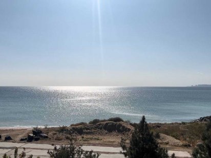 55 соток в Элитном "Сосновый Берег", 1-я линия, лучший! Ліски