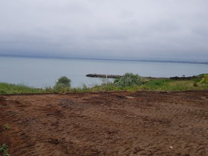 Продаю СВОЙ! участок на 1 линии от моря в Сосновом берегу от хозяина Фонтанка