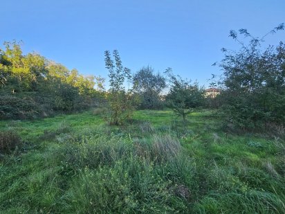 Земельный участок под строительство жилого дома Великодолинське