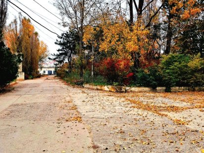 Участок под бизнес, с. Великодолинське