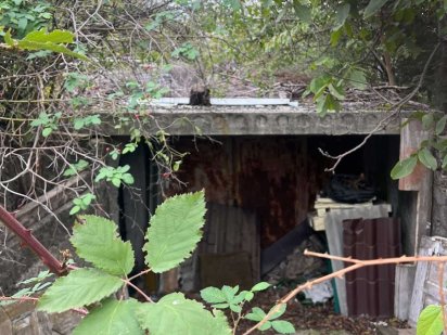 Участок под застройку в Нерубайское, 346078