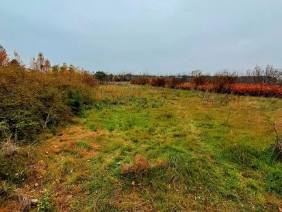 Два участка по цене одного!!! с. Великодолинське! Великодолинське